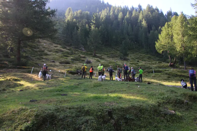 Trofeo delle Alpi 2026: paesaggio e partecipanti lungo il percorso