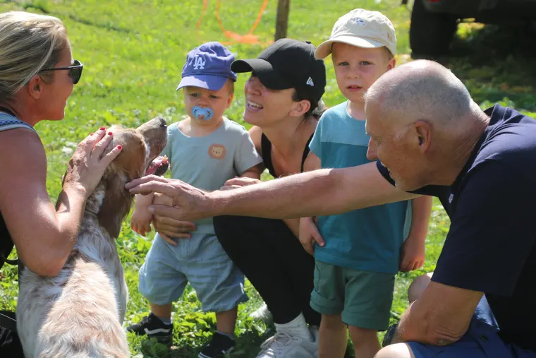 Trofeo delle Alpi 2026: conduttore e cani durante la manifestazione