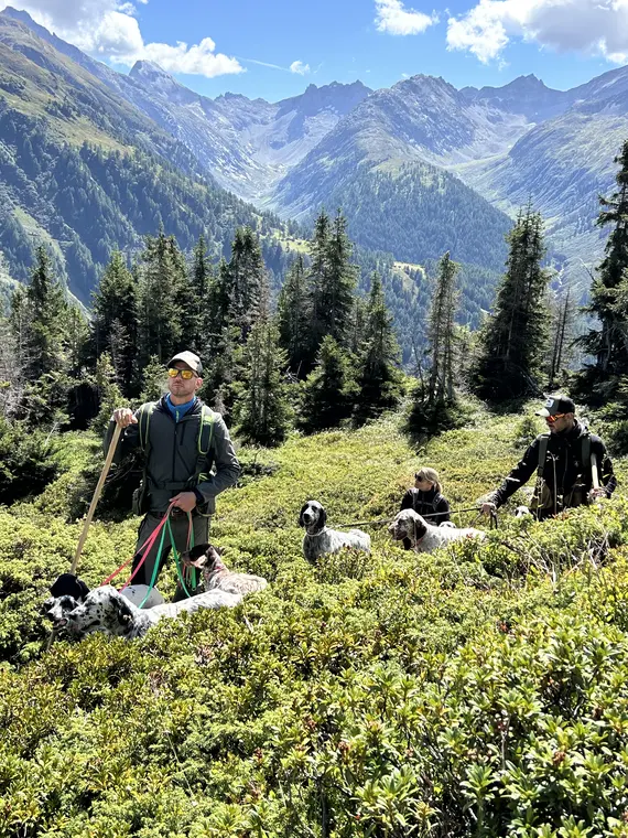 Trofeo delle Alpi 2026: cani e partecipanti nel paesaggio alpino