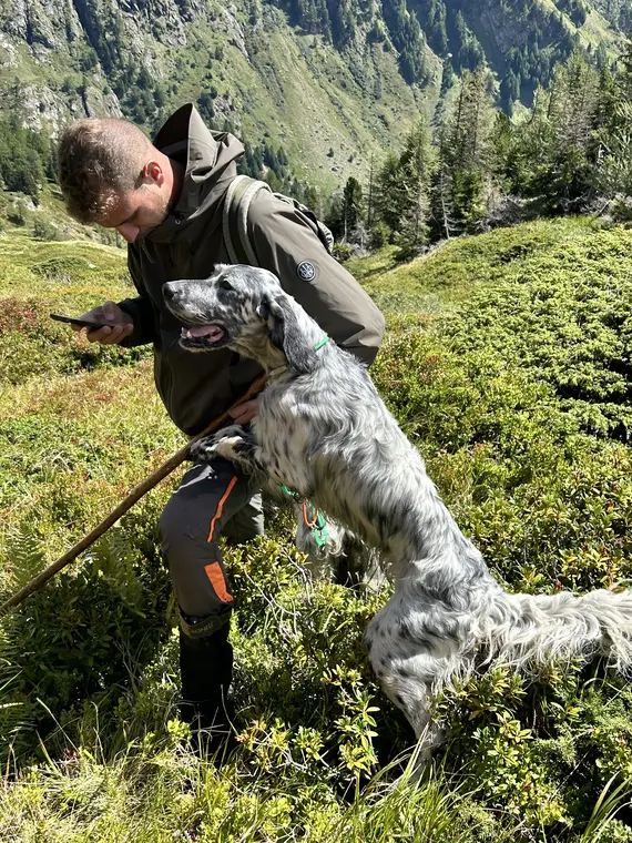 Trofeo delle Alpi 2026: conduttore e cani durante la manifestazione