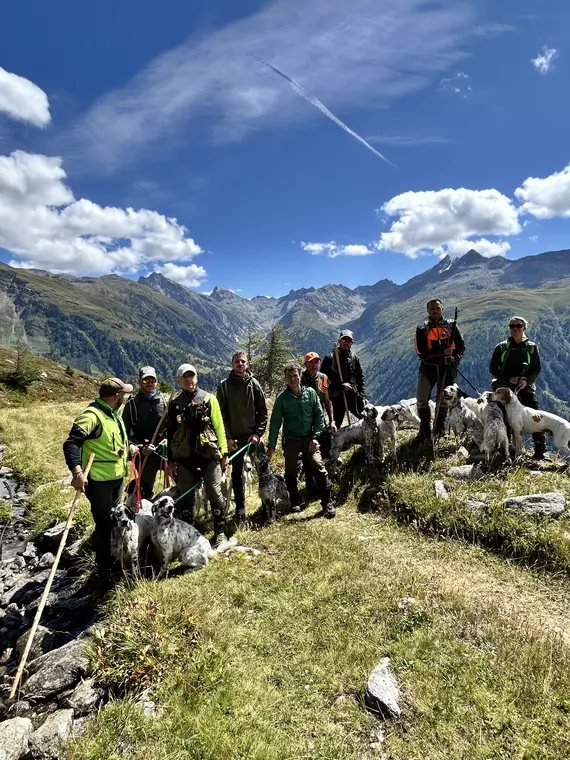 Trofeo delle Alpi 2026: partecipanti e cani durante la manifestazione