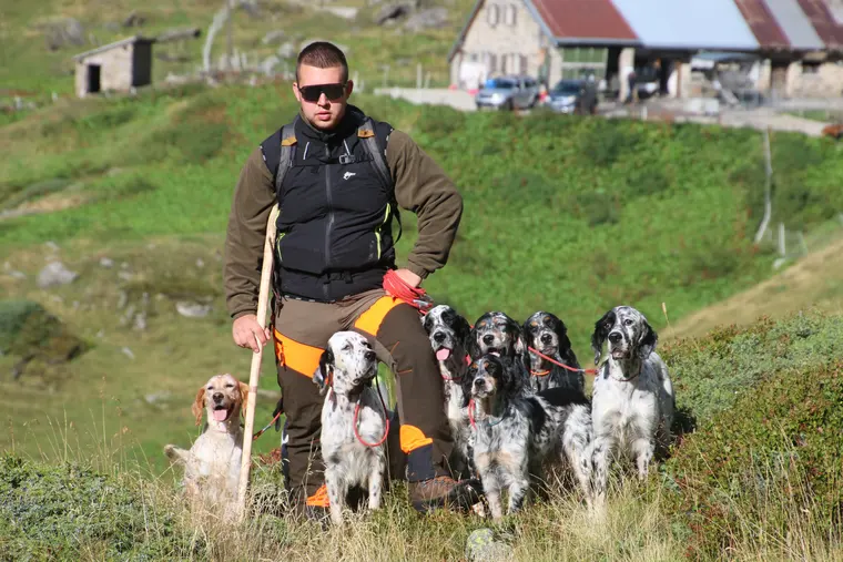 Trofeo delle Alpi 2026: partecipanti e cani durante la manifestazione