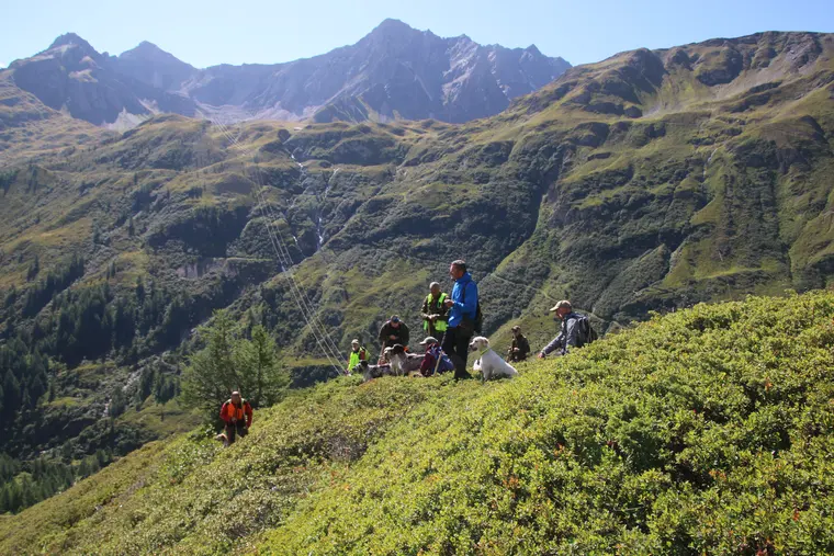 Trofeo delle Alpi 2026: paesaggio e partecipanti lungo il percorso