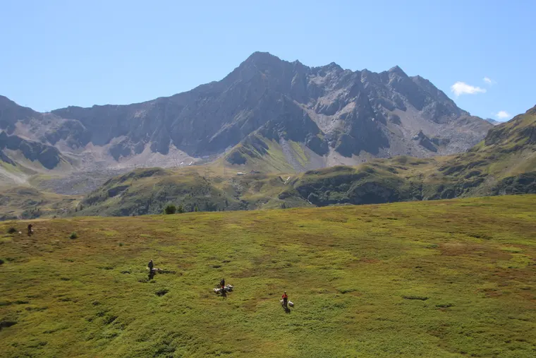 Trofeo delle Alpi 2026: paesaggio e partecipanti lungo il percorso