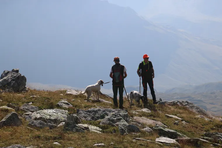 Trofeo delle Alpi 2026: paesaggio e partecipanti lungo il percorso