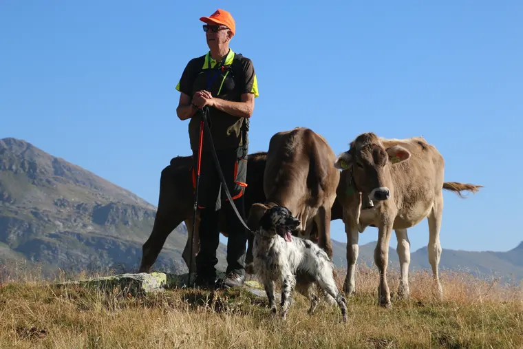Trofeo delle Alpi 2026: cani e partecipanti nel paesaggio alpino