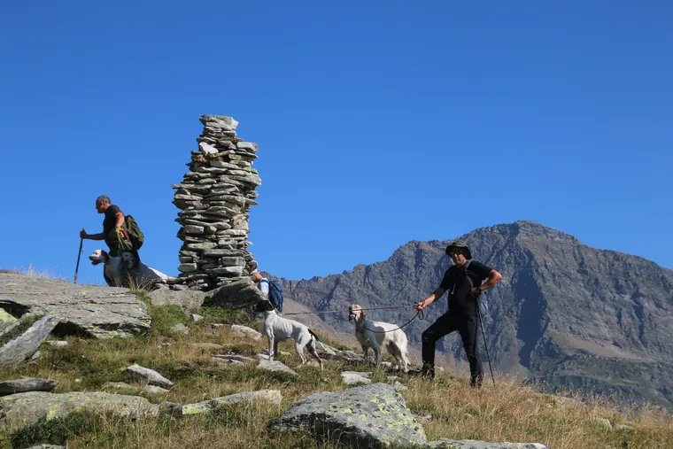 Trofeo delle Alpi 2026: paesaggio e partecipanti lungo il percorso