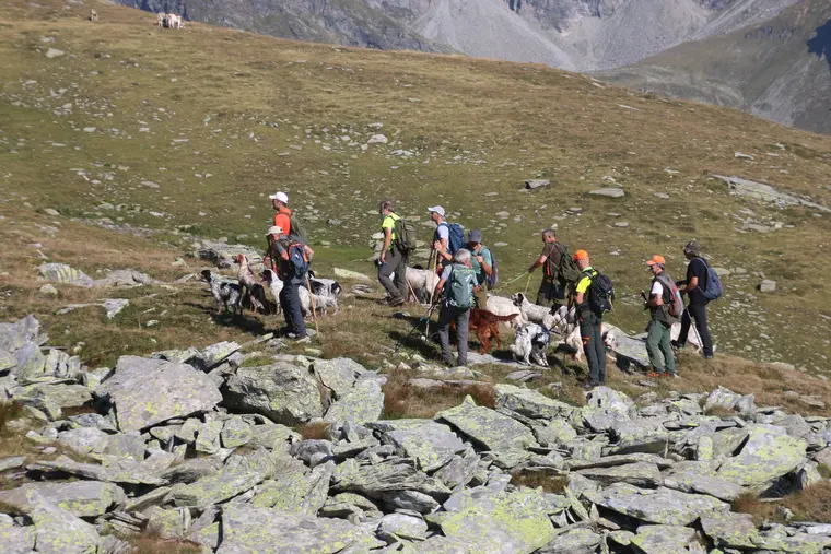 Trofeo delle Alpi 2026: partecipanti e cani durante la manifestazione